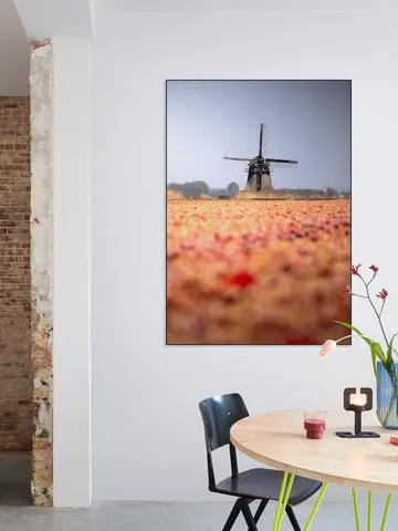 Windmill in Bloom