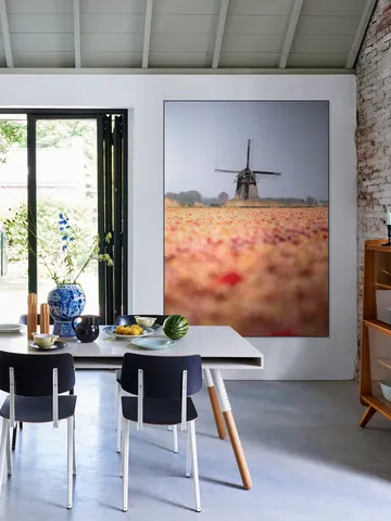 Windmill in Bloom