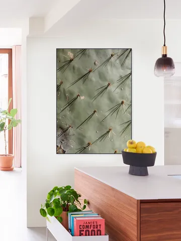 Cactus Zoom