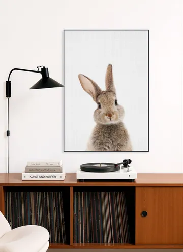 Print 315 Rabbit