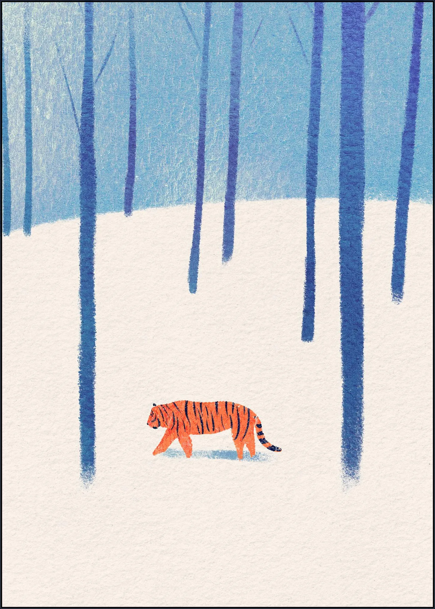 Tiger In The Snow