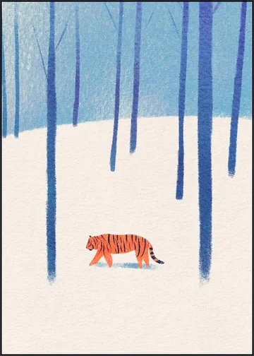 Tiger In The Snow
