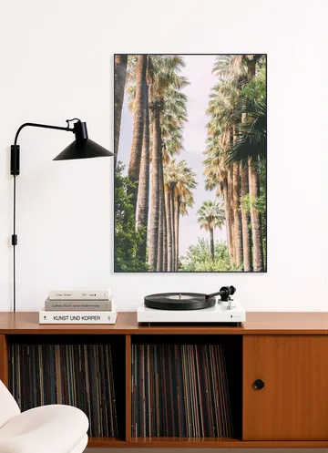 Palm Tree Lane