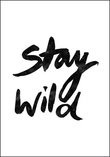 Stay Wild