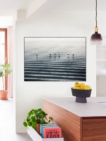 Waddenislands-Birds Flyover