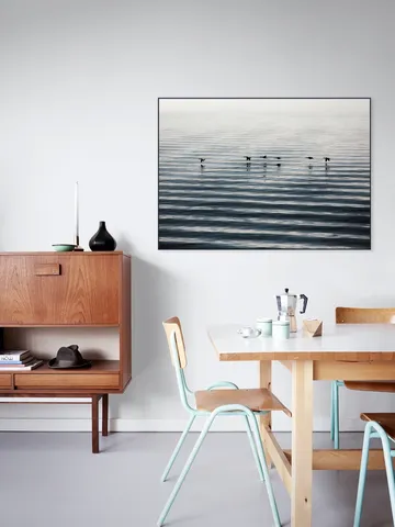 Waddenislands-Birds Flyover