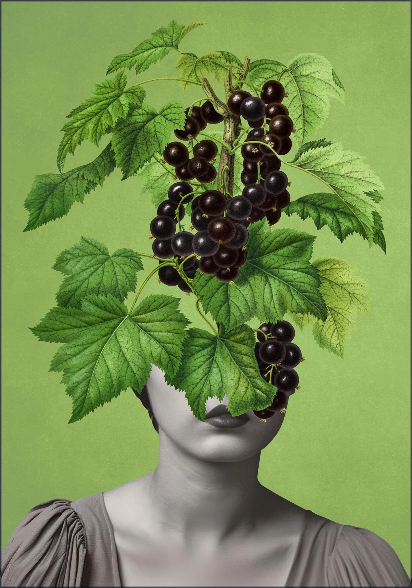 The Blackcurrant Miracle