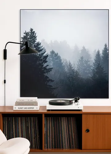 Woods 7