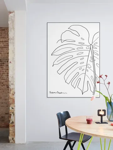 Monstera white