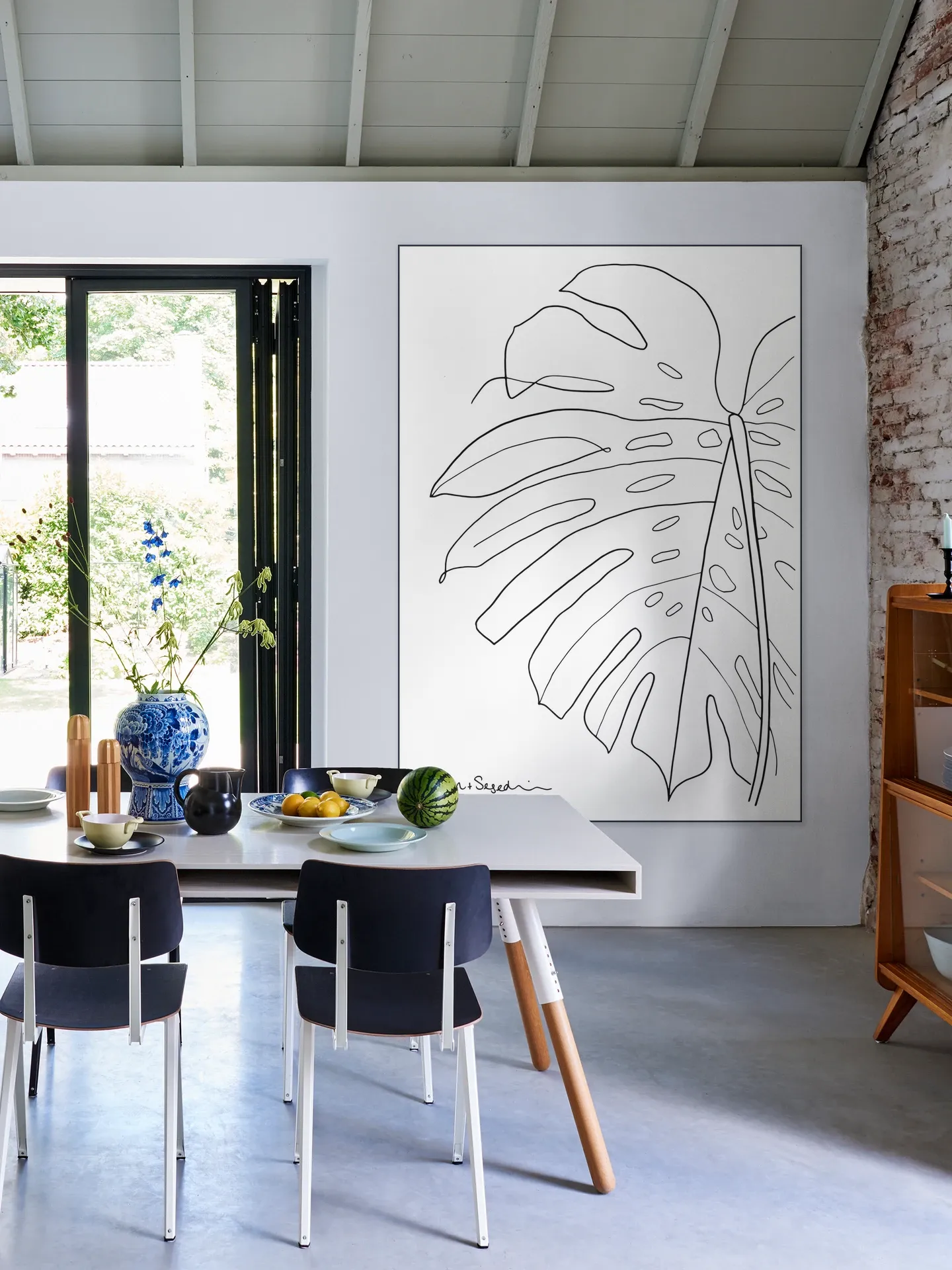 Monstera white