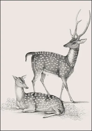 Deer light