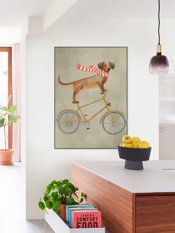Dachshund on bicycle with scarf
