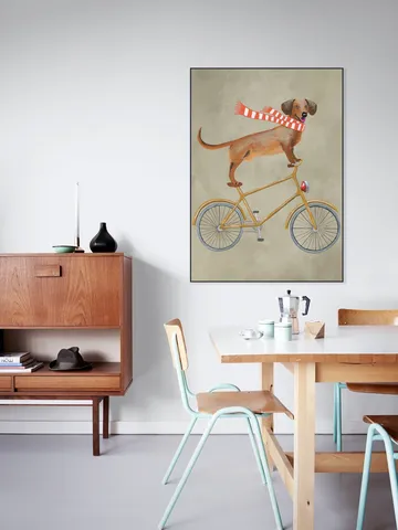 Dachshund on bicycle with scarf