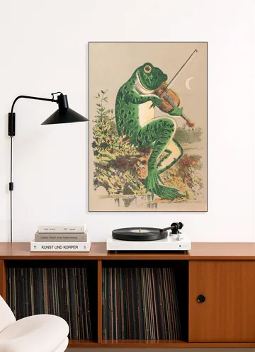 Frog playing violin