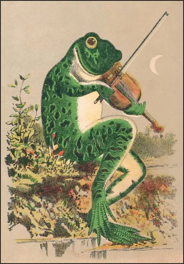 Frog playing violin