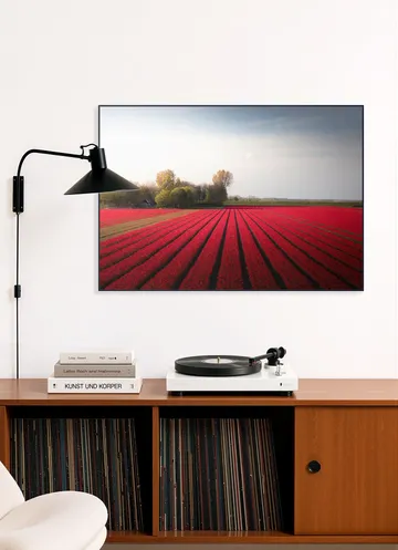 Red Fields of Spring