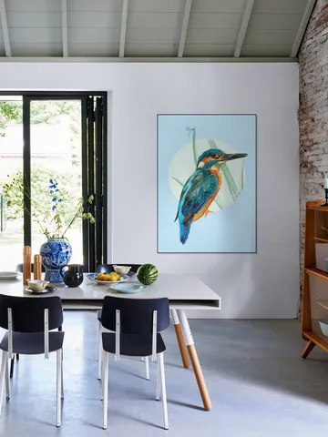 Kingfisher