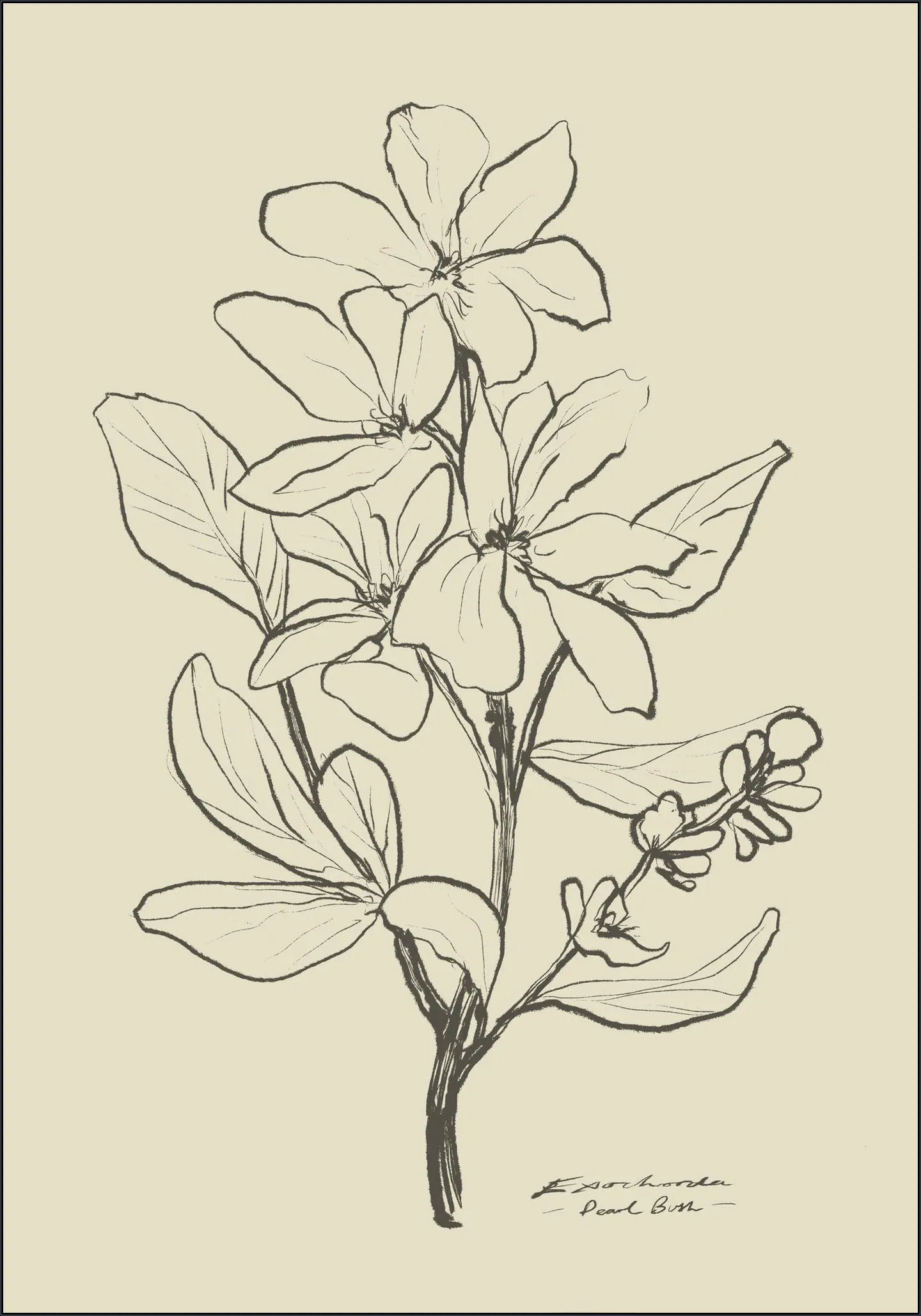 Floral 1
