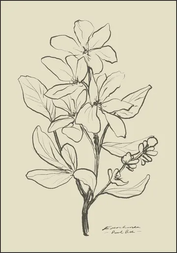 Floral 1