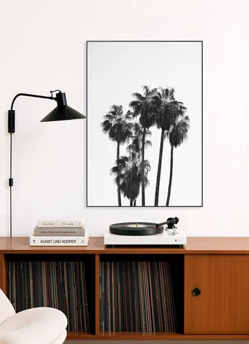 Palms in the Wind