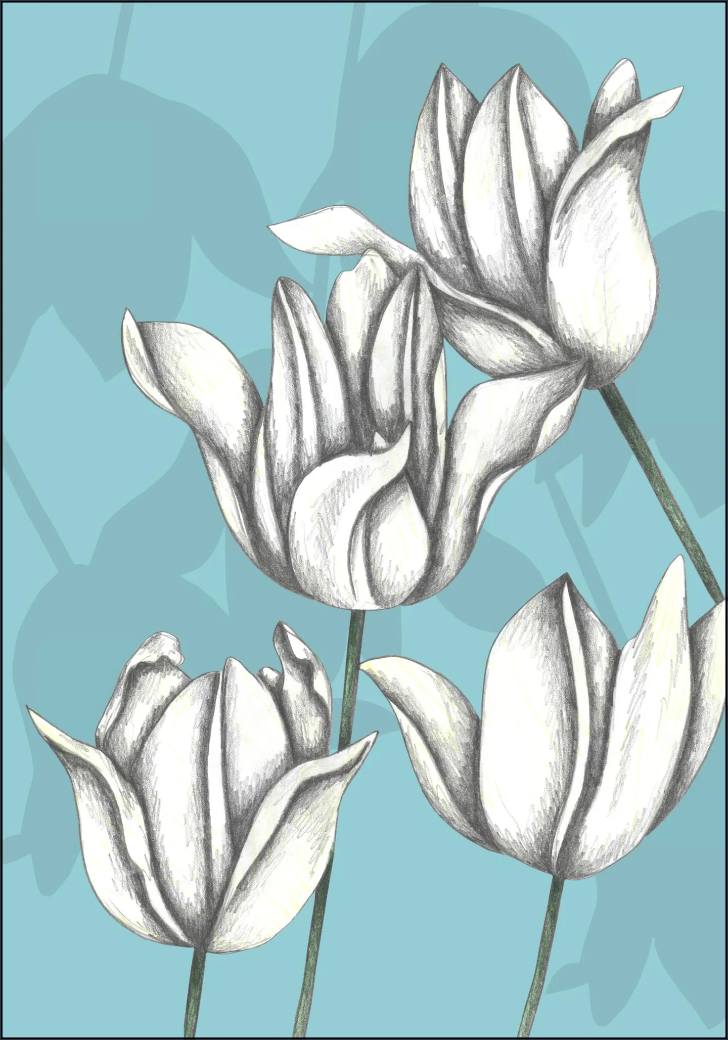 White Tulips