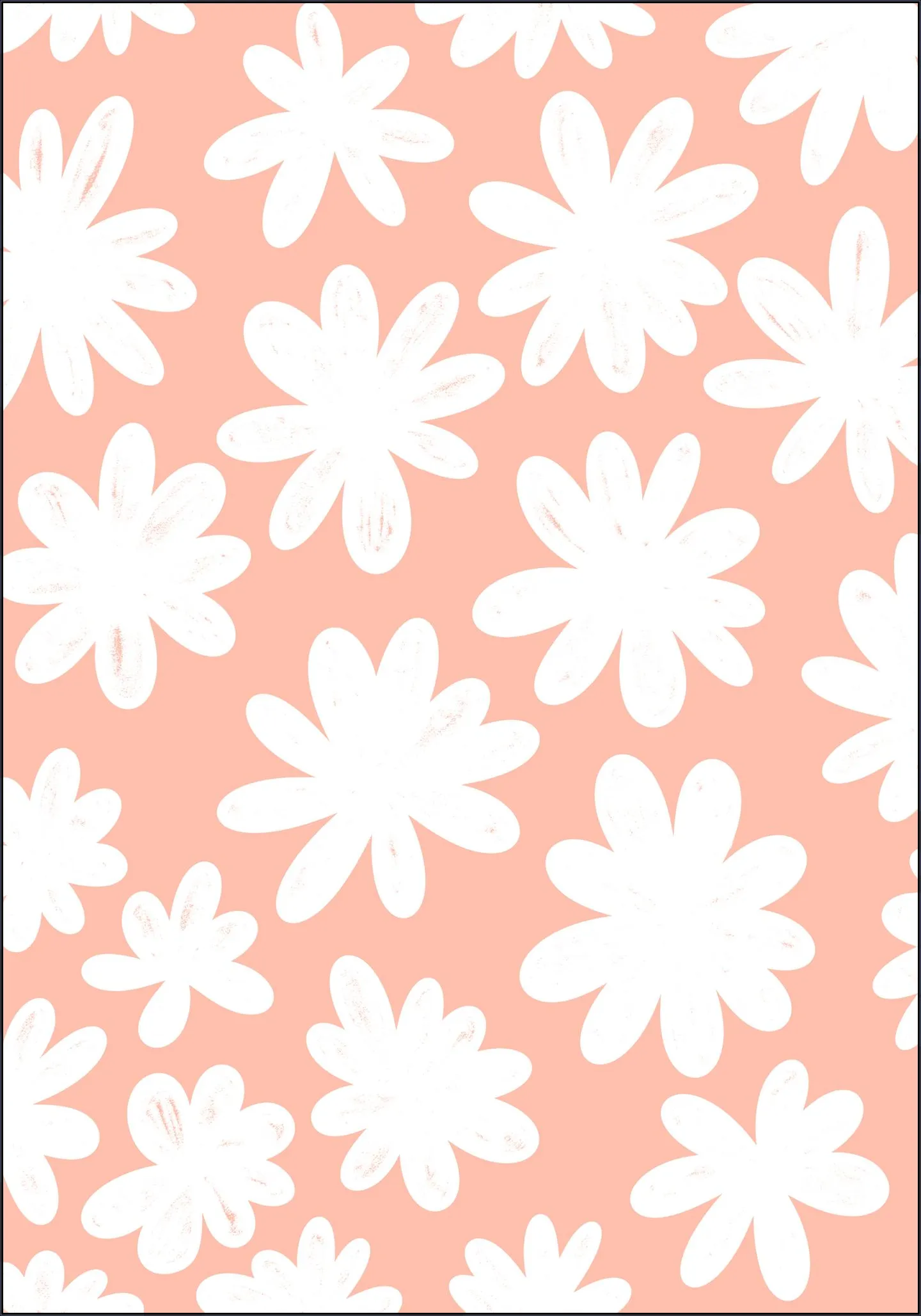 Marguerites on Pink