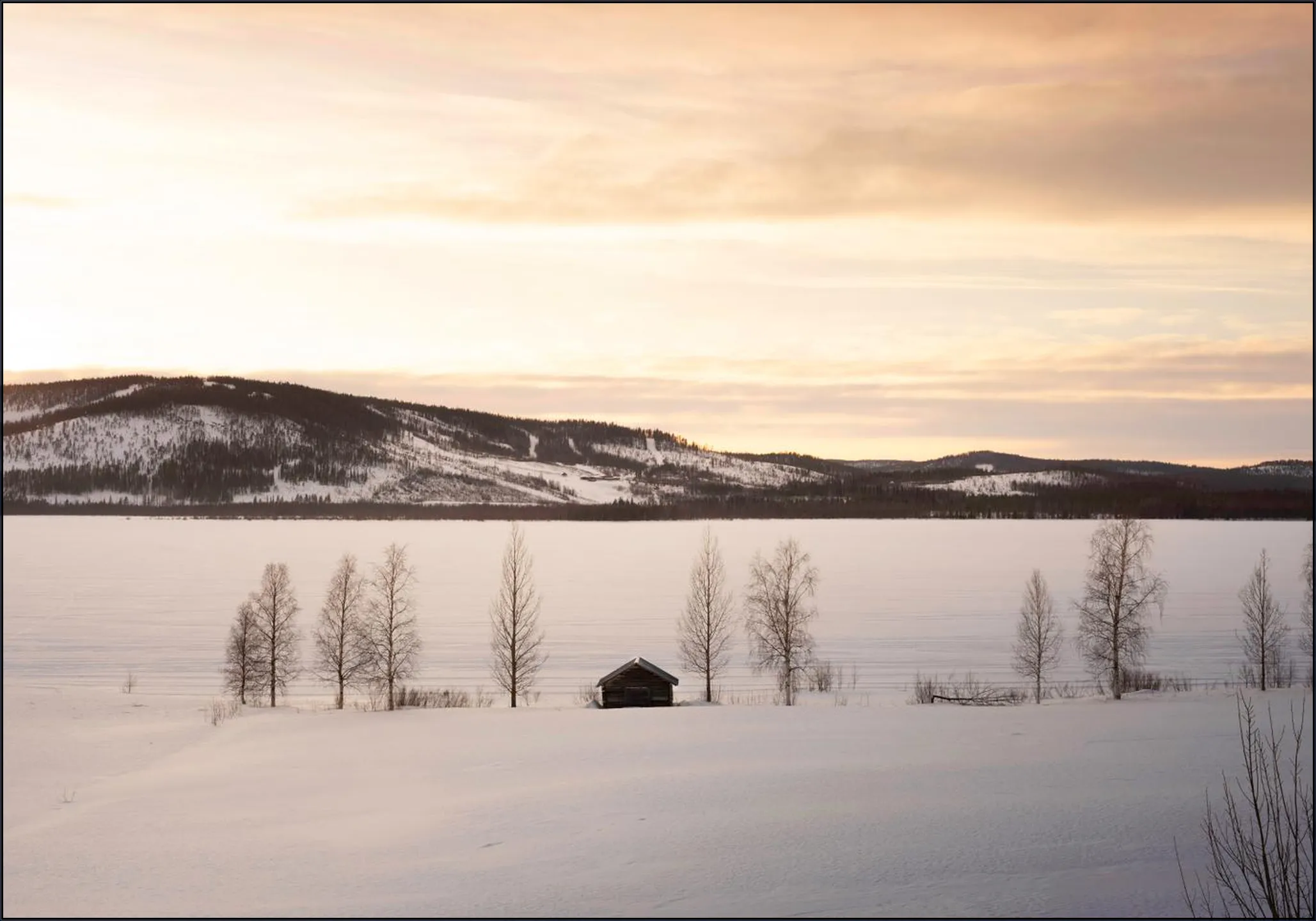 Frozen World