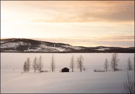 Frozen World