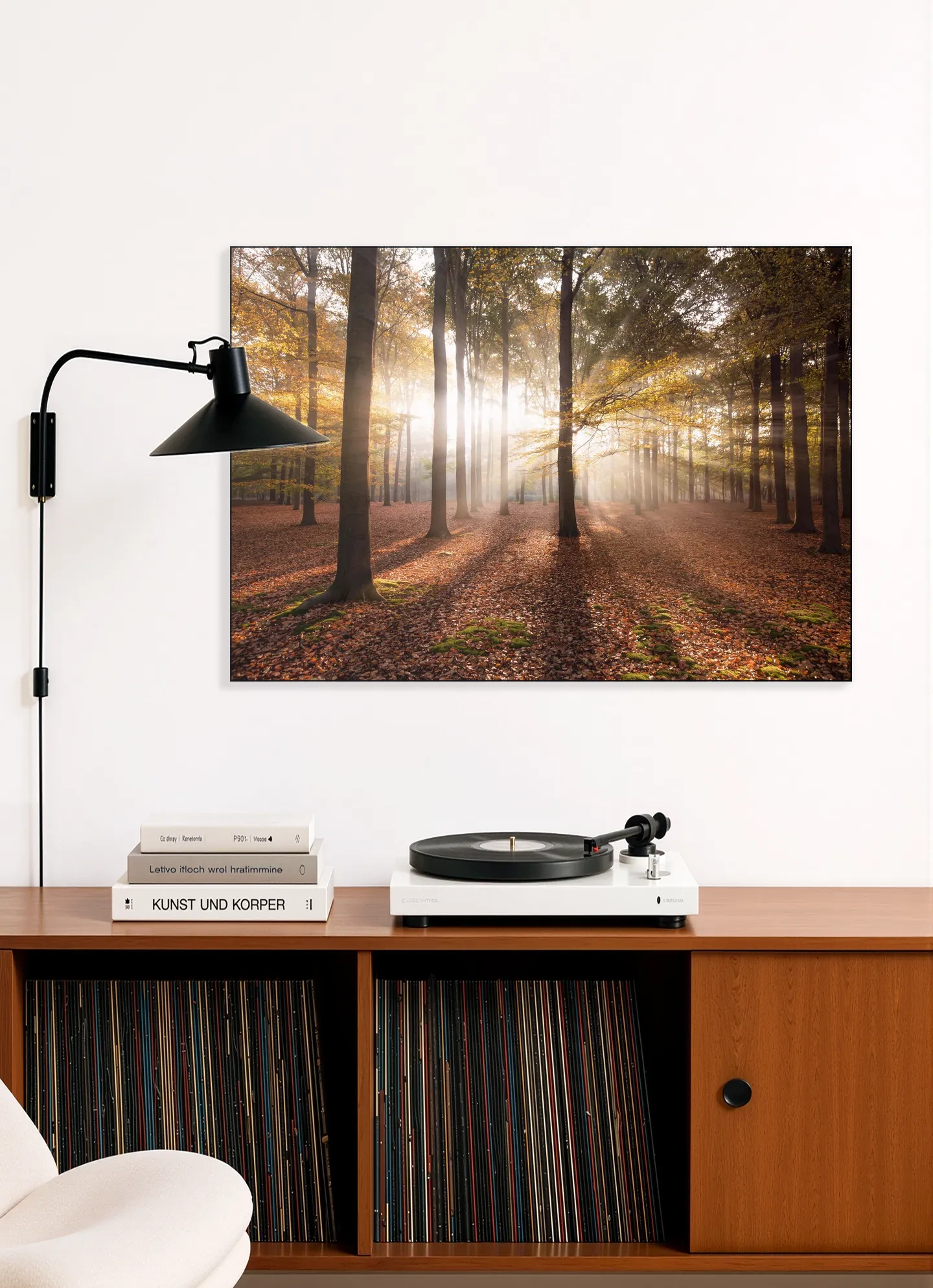 Autumn in the Forest