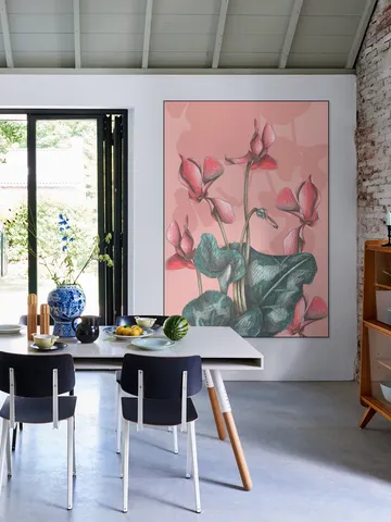 Cyclamens