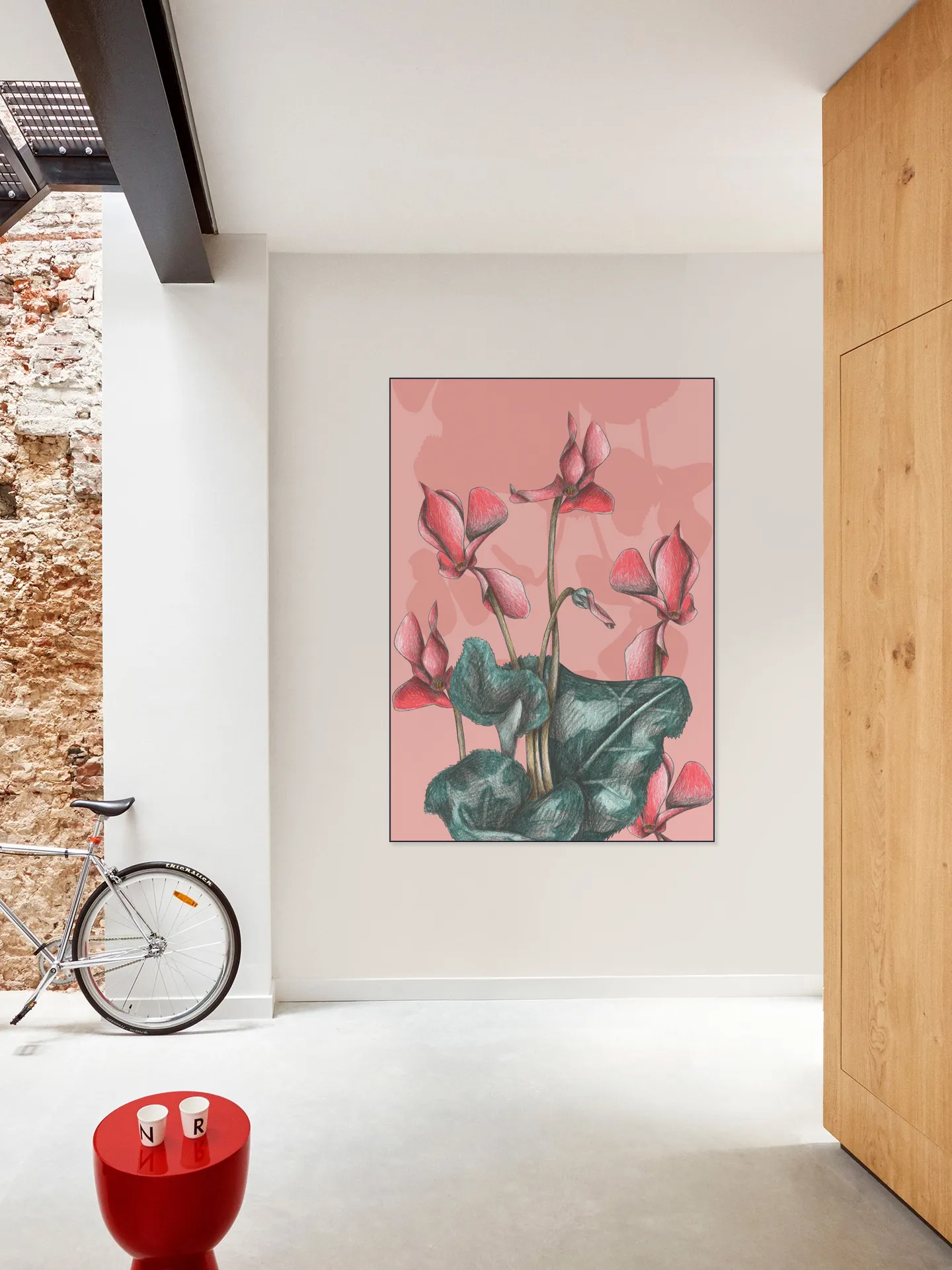 Cyclamens