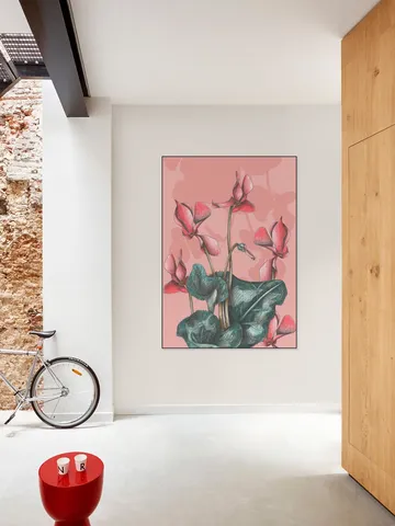 Cyclamens