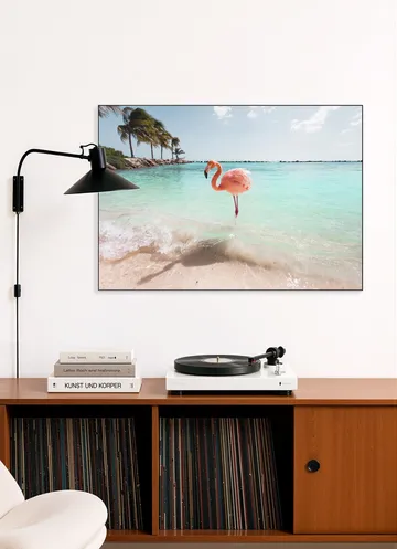 Flamingo Series Crystal Clear