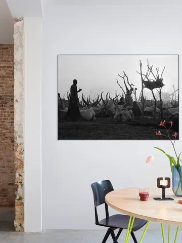 Dinka Cows at Sunset