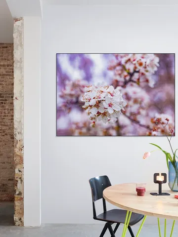 Spring Flowers
