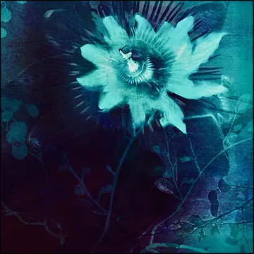 Lighting Flower