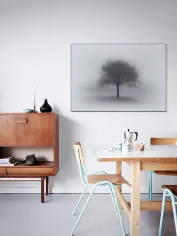 Tree in Fog
