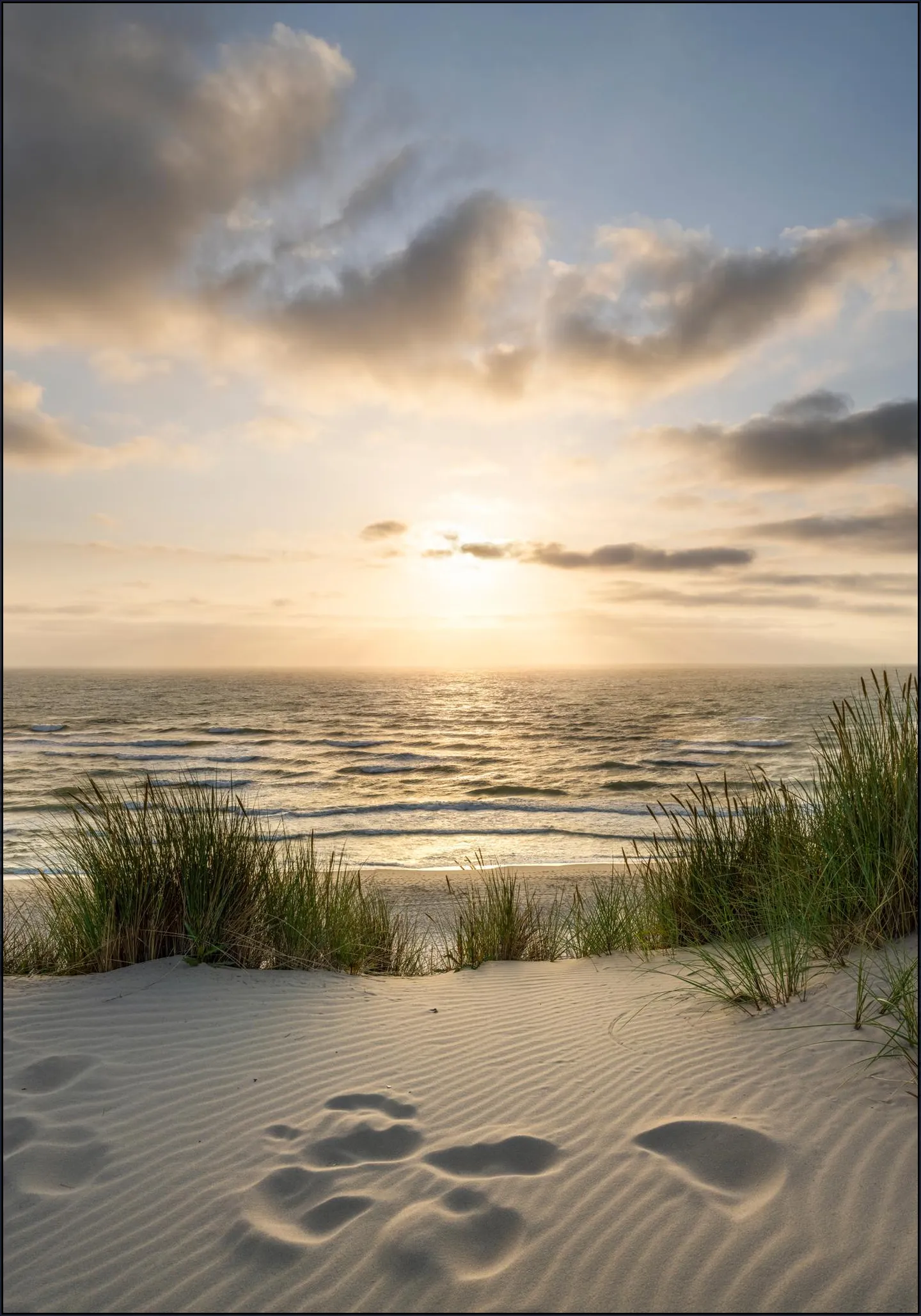 Dune beach at sunset