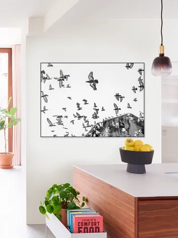 Birds in the Sky
