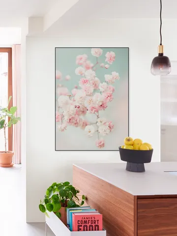 Pink Gypsophilia Flowers