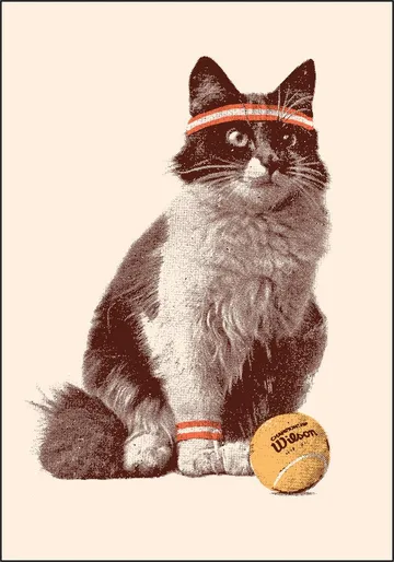 Chat Tennis