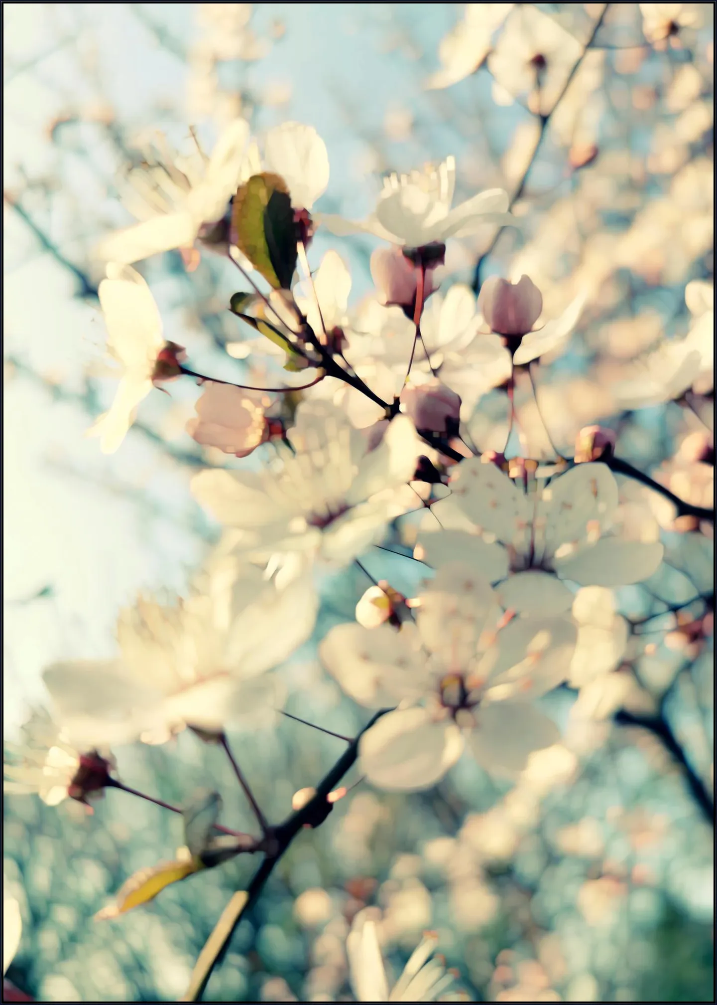 First Day of Spring