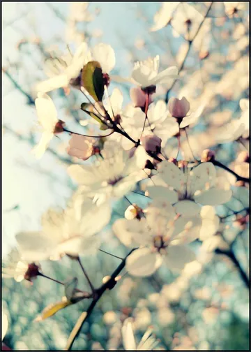 First Day of Spring