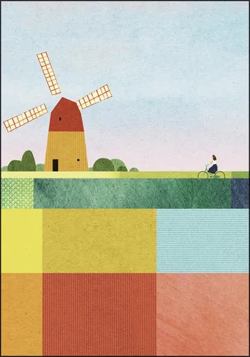 Tulip Fields