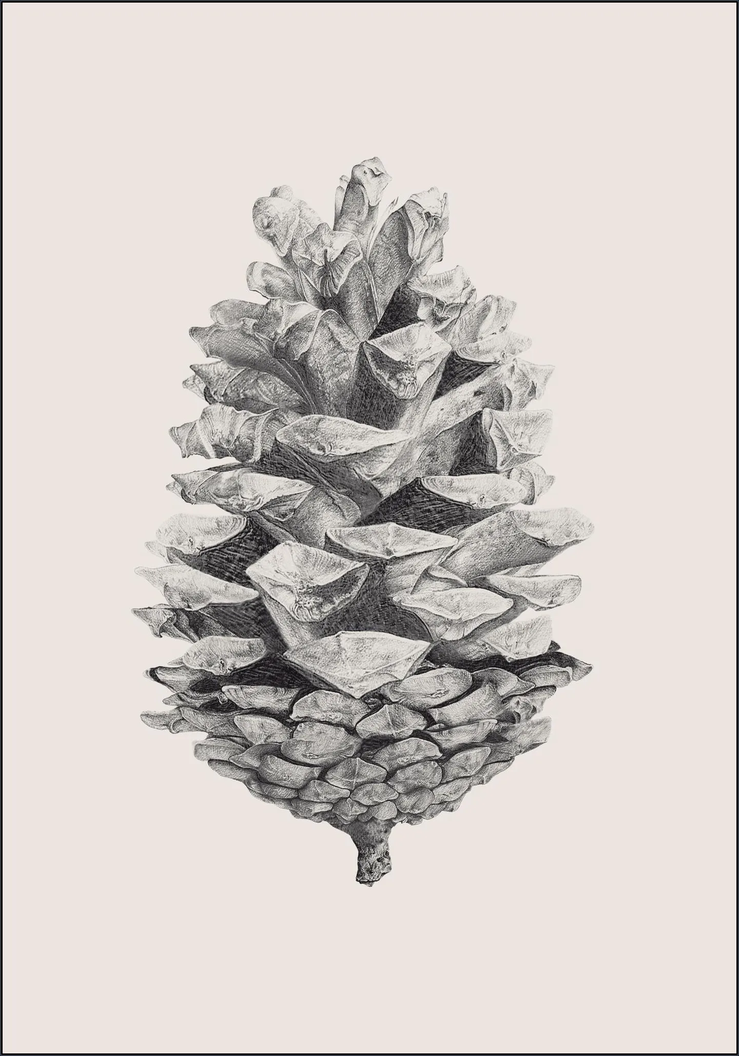 Pine Cone light