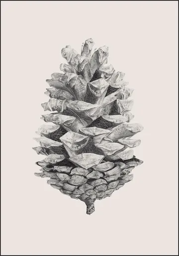 Pine Cone light