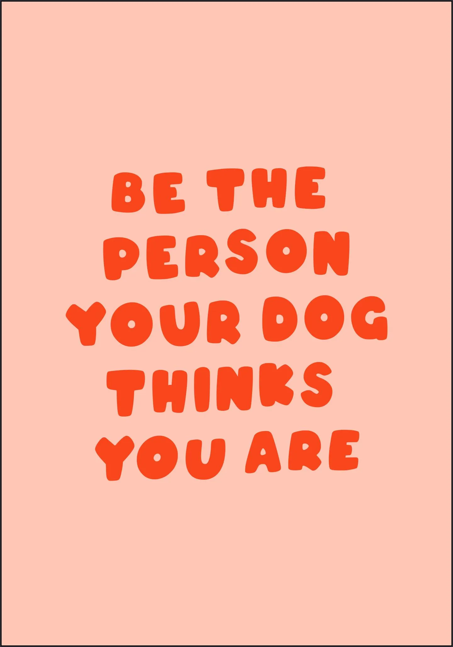 Dog's Favorite Person