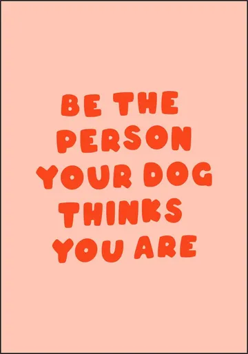 Dog's Favorite Person