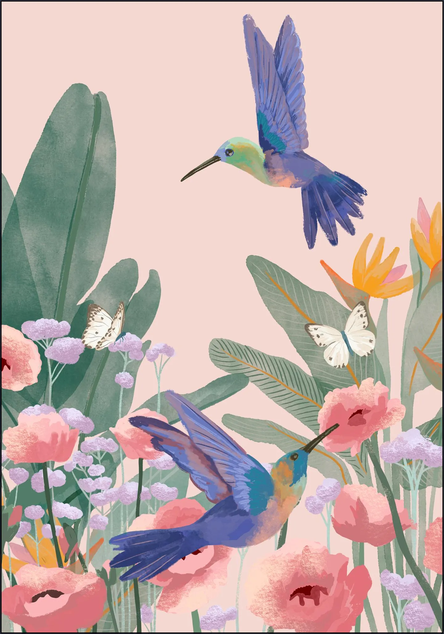 Hummingbirds
