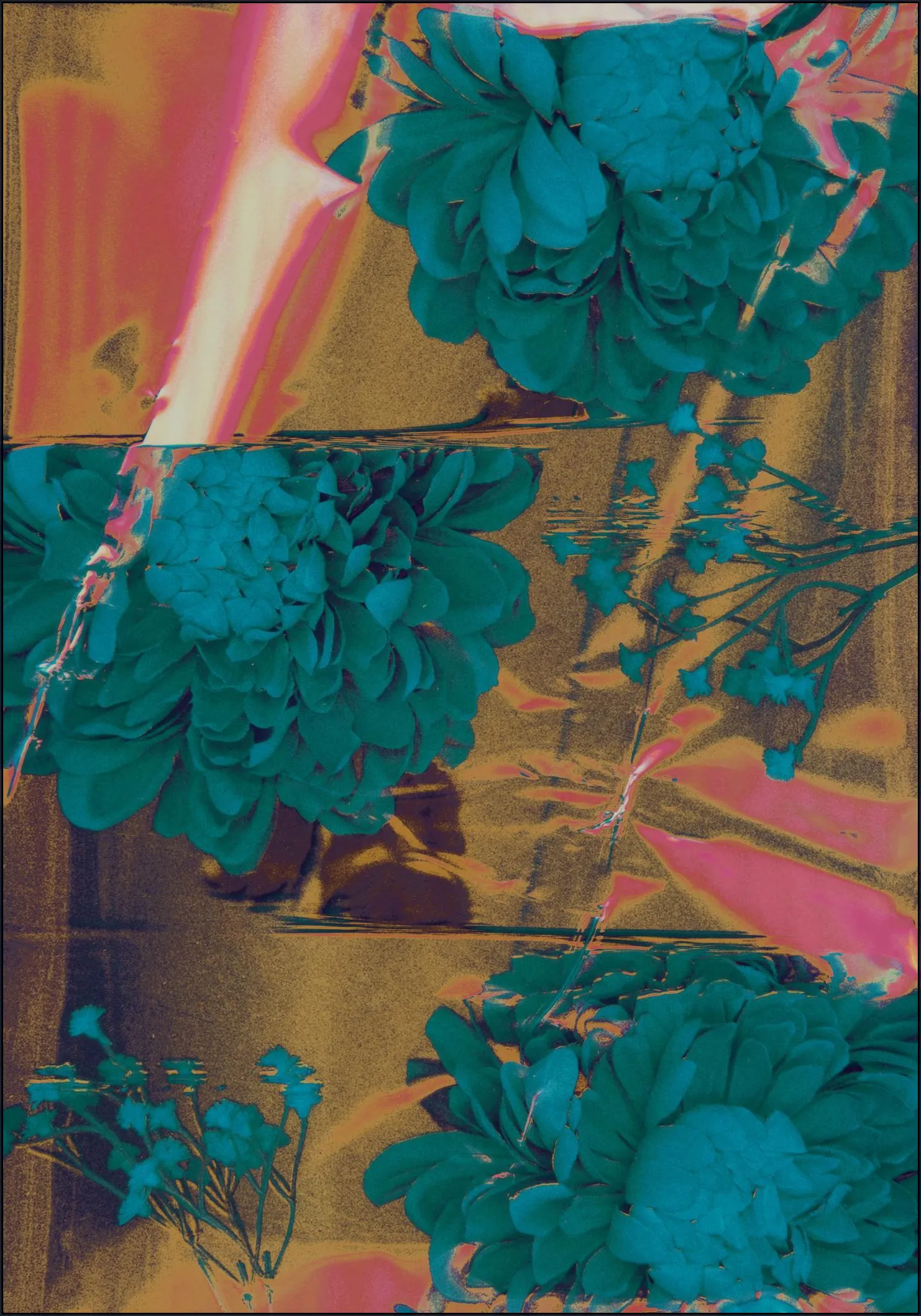 Hologarden